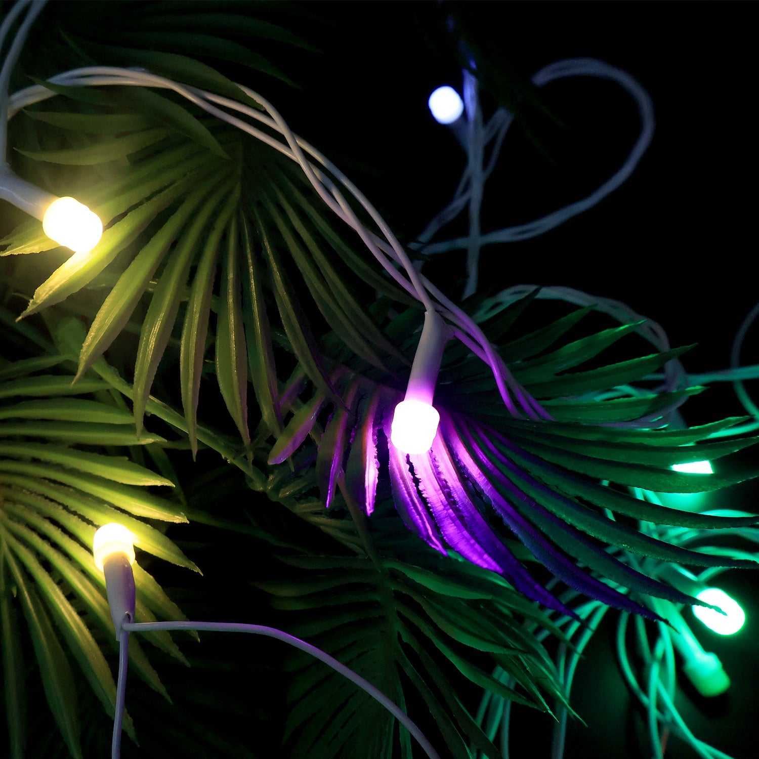 Multi-Color LED Fairy String Light Multi-Color LED Fairy String Light